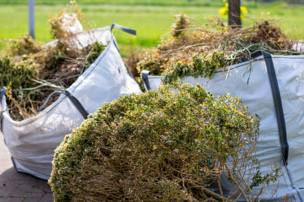 Best Junk Removal Near Me  in York, AL
