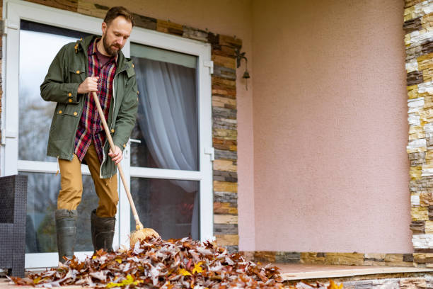 Best Yard Cleanup Services  in York, AL